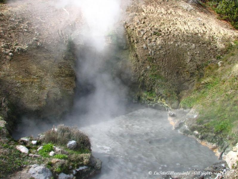 La Dragon's Mud Spring au site de Mud Volcano