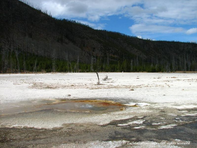 Black Sand Basin