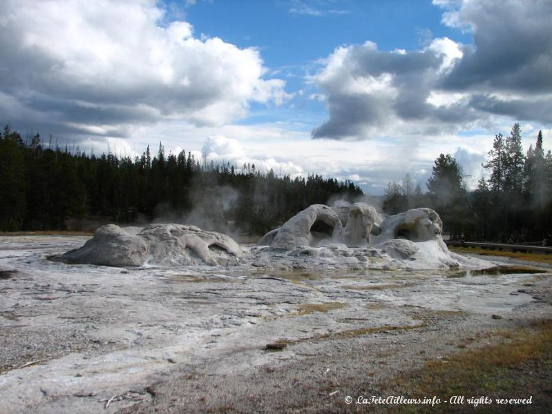 Grotto Geyser, a l'Upper Geyser Basin