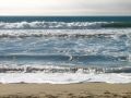 Ces grosses vagues font le bonheur des surfeurs californiens