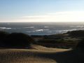 A l'Año Nuevo State Park, les falaises cotoient les dunes de sable