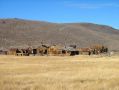 Bodie, maintenant fantome, connu son heure de gloire a l'epoque de la ruee vers l'or