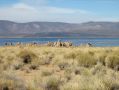 On approche du Mono Lake