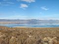 La rive ouest du Mono Lake