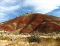 Une dune de Painted Hills