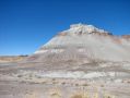 Couleurs incroyables du Petrified Forest National Park