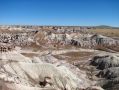 Paysage extraterrestre du Petrified Forest National Park