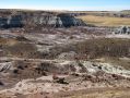 Le mauve de la Jasper Forest tranche avec le marron du desert environnant