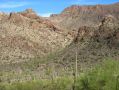 Bienvenus dans la contree des immenses saguaros !