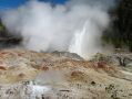 Un petit geyser du Back Basin