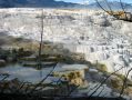 Les bassins de Mammoth Hot Springs