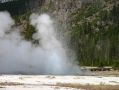 Jewel Geyser, au site de Biscuit Basin