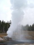 Riverside Geyser en eruption !