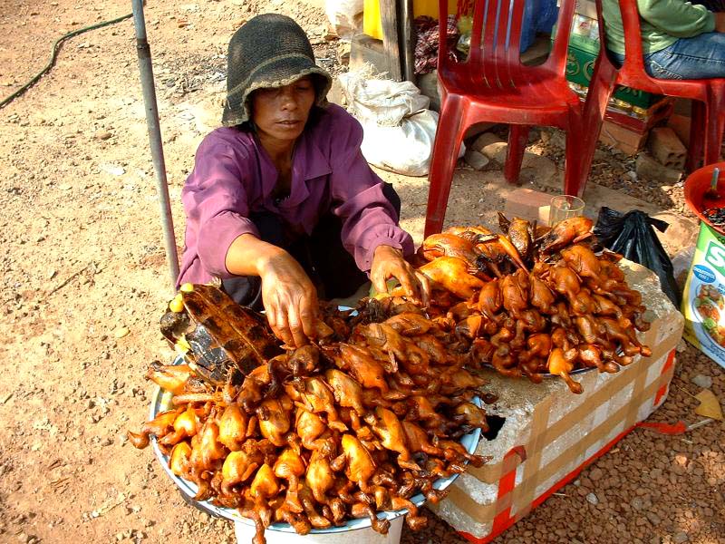 Sur un stand au bord de la route, une vendeuse de poulets et e tortues, avec leurs oeufs tout frais grillés