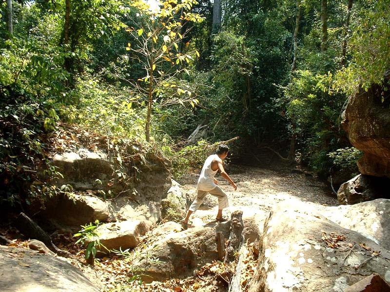 En pleine jungle, notre chauffeur de tuk tuk nous guide vers les sculptures de Kbal Sean