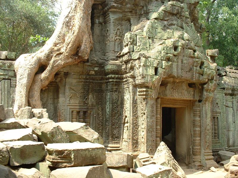 Une des nombreuses portes du temple, sur laquelle pousse un fromager