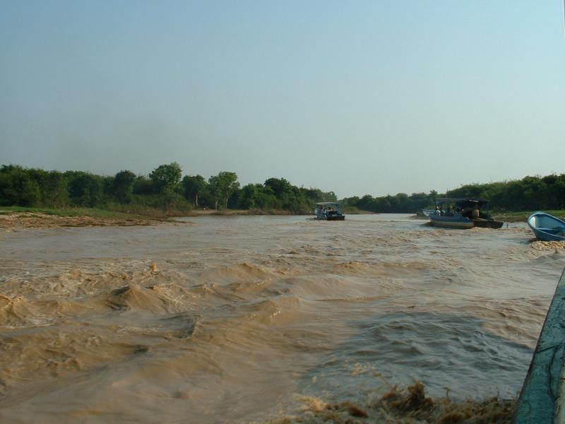 Les eaux sont boueuses dans le coin !