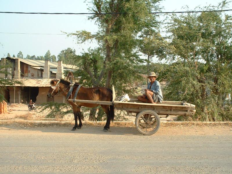 Chacun a son moyen de locomotion ici.