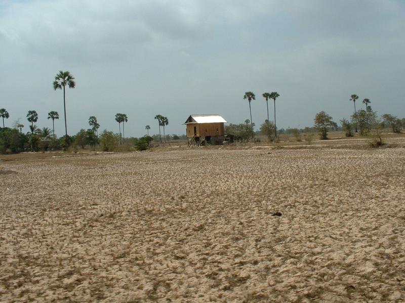 Les paysages sont très arides dans cette région