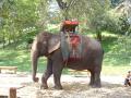 On peut aussi faire le tour de la colline à dos d'éléphant