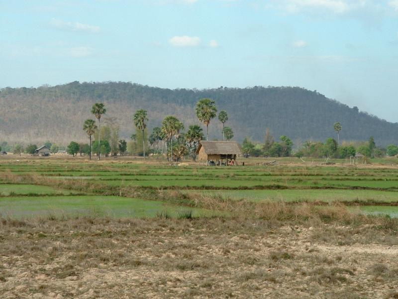 Une maison de paysan isolée dans les champs