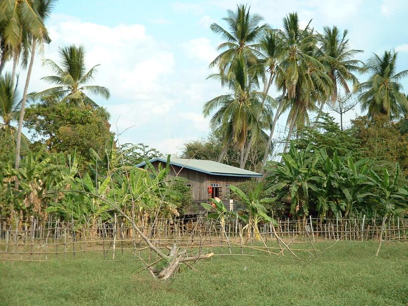 Une maison typique, au milieu des bananiers