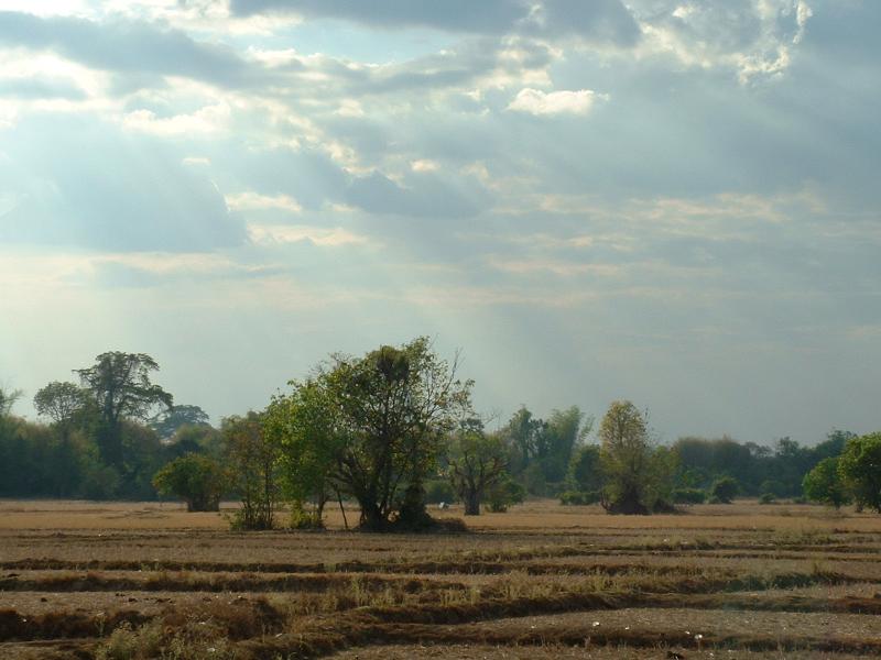 On se croirait dans la savane africaine