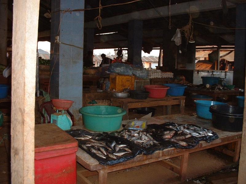 Un étal de poissons au marché de Paksong
