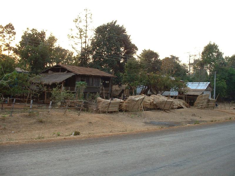 ... pour vendre plus facilement sa paille qui servira, entre autres, à recouvrir les toîts de la plupart des maisons de la région