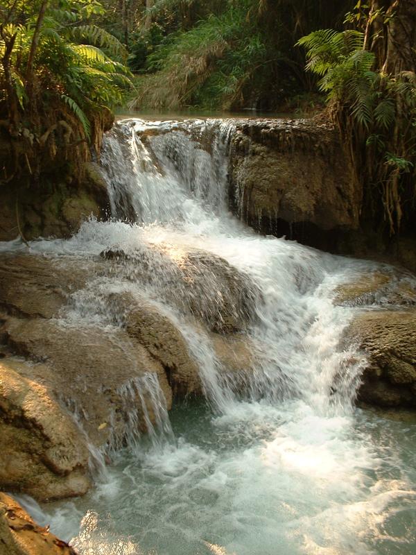 En contrebas des chutes de Tad Kouang Si, le cadre est sauvagement beau