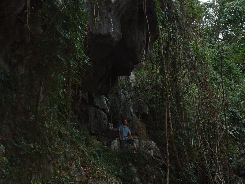 O'Live hésite à se prendre pour Tarzan parmi toutes ces lianes