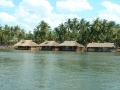 Les bungalows semblent flotter sur l'eau