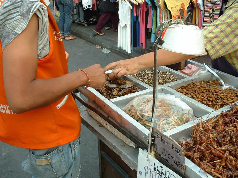 Pour les amateurs, un stand d'insectes grillés