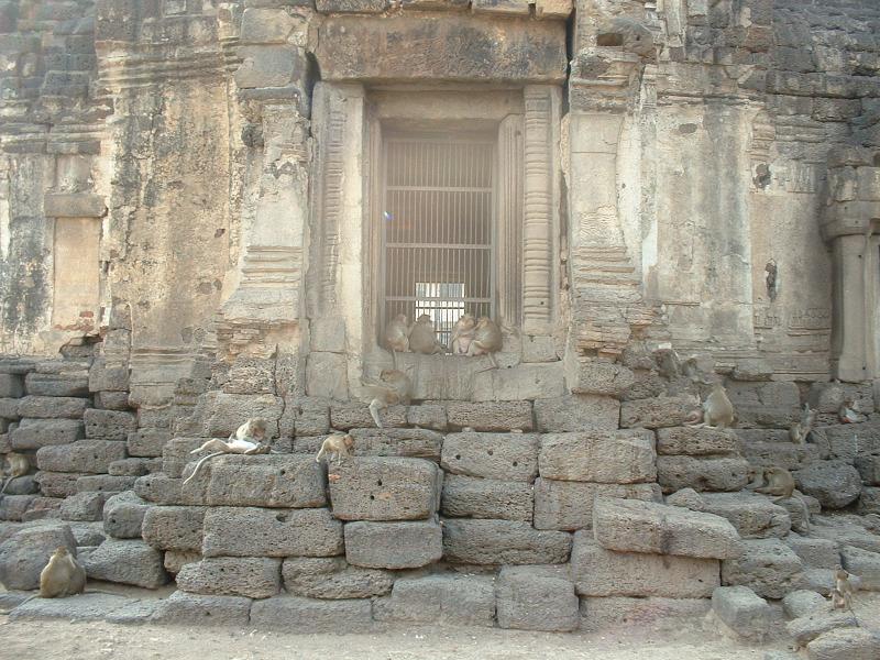 Encore des singes, à l'ombre du Prang Sam Yod