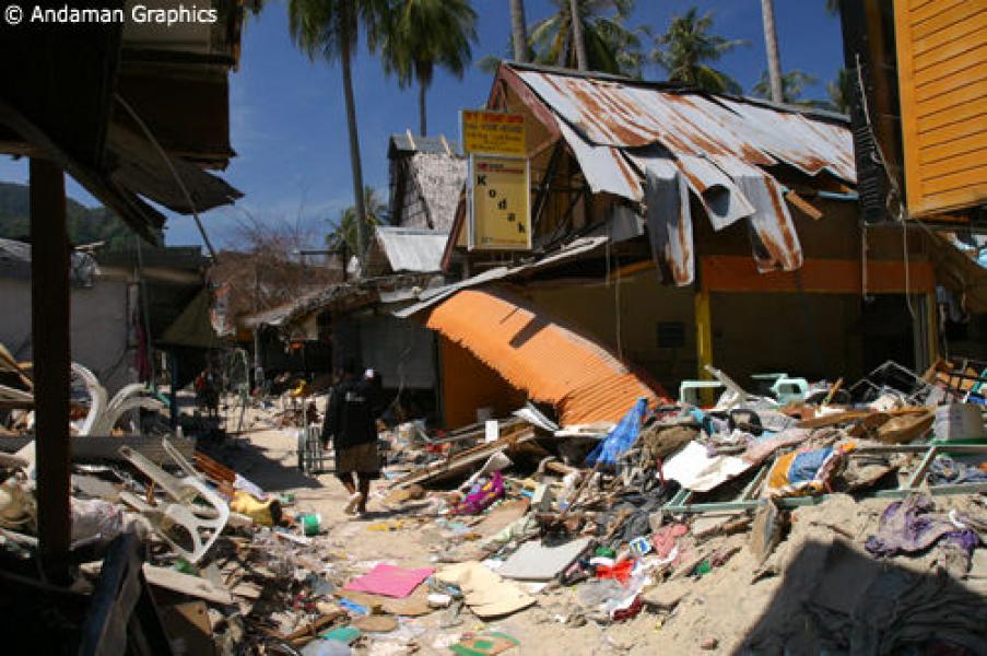 Les ravages du tsunami