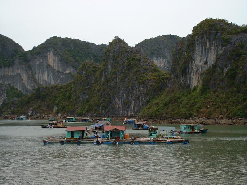 Un village flottant de la baie 01