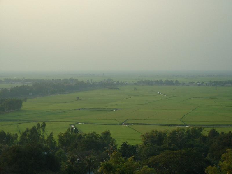 Vue sur les rizières cambodgiennes depuis le mont Sam