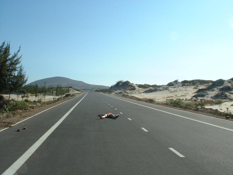 La route est comme les paysages, déserte