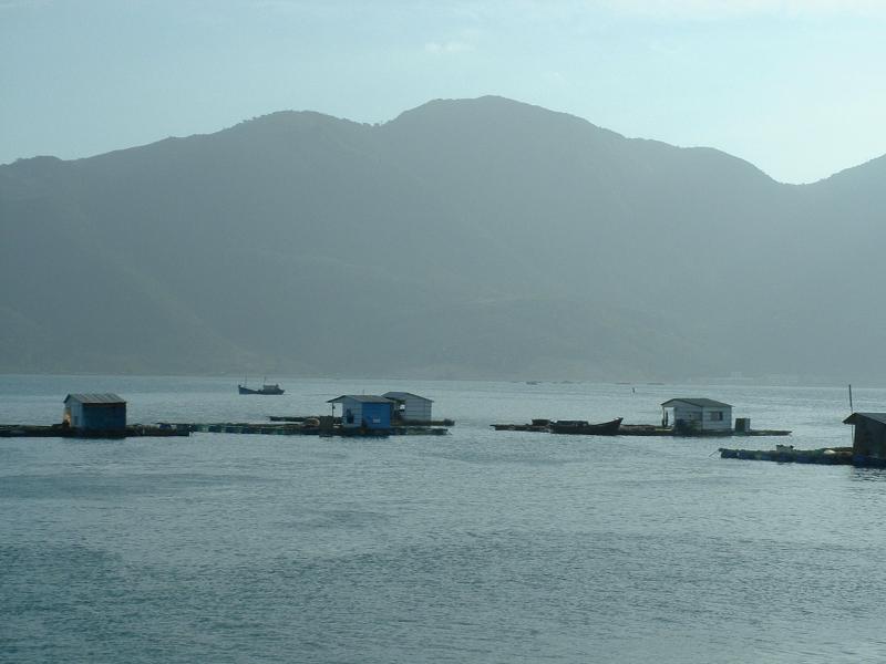 Elevages flottants dans le soleil couchant