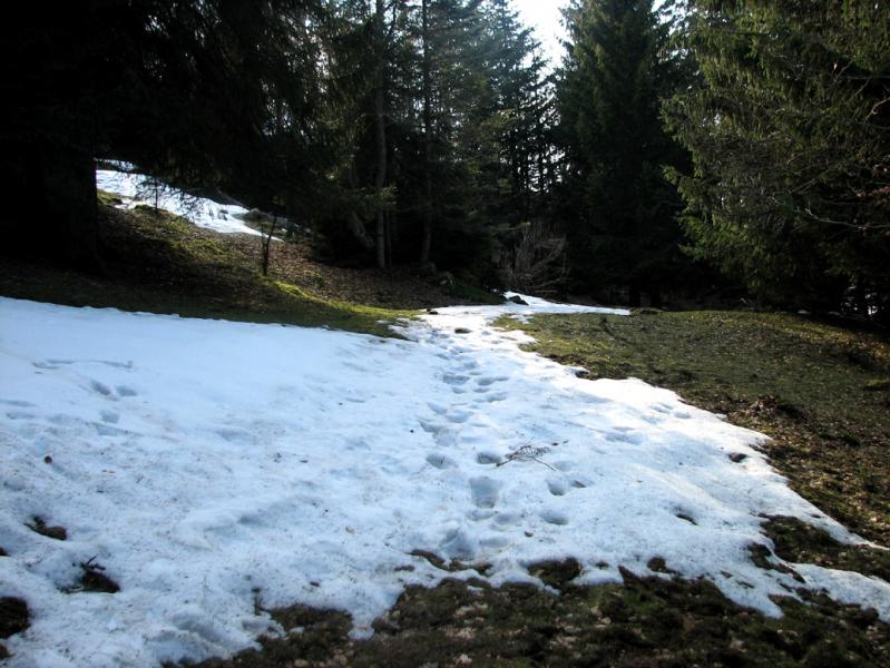 Malgré les beaux jours, il reste encore un peu de neige à certains endroits