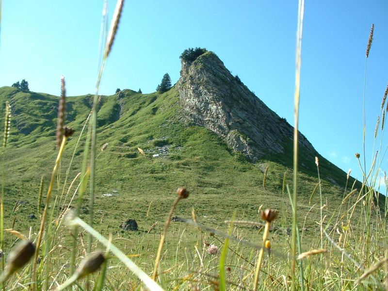 Lac des Rois 04