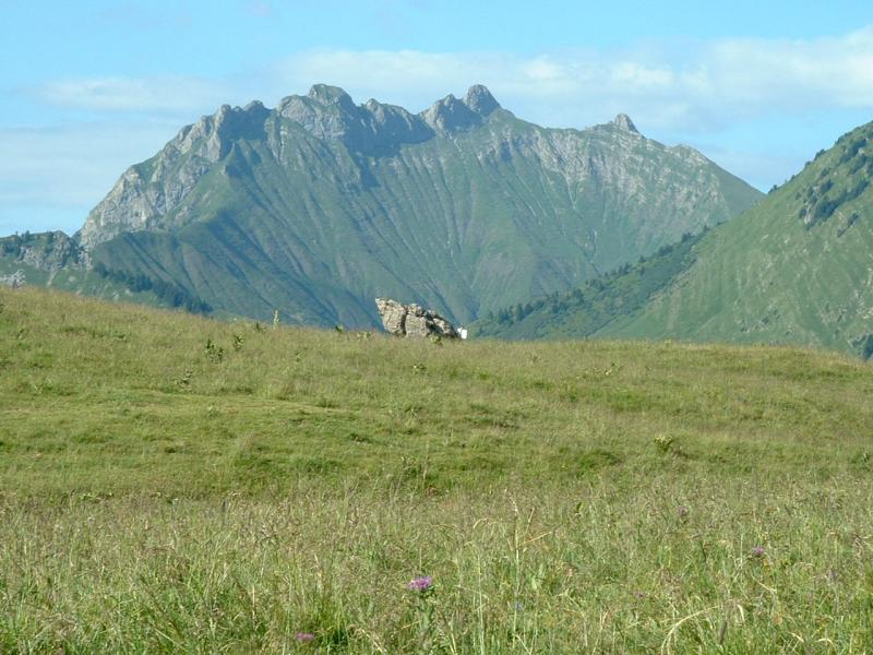 Lac des Rois 07
