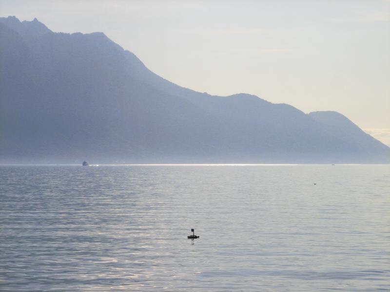 Y aurait-il un plongeur sous cette bouée ?