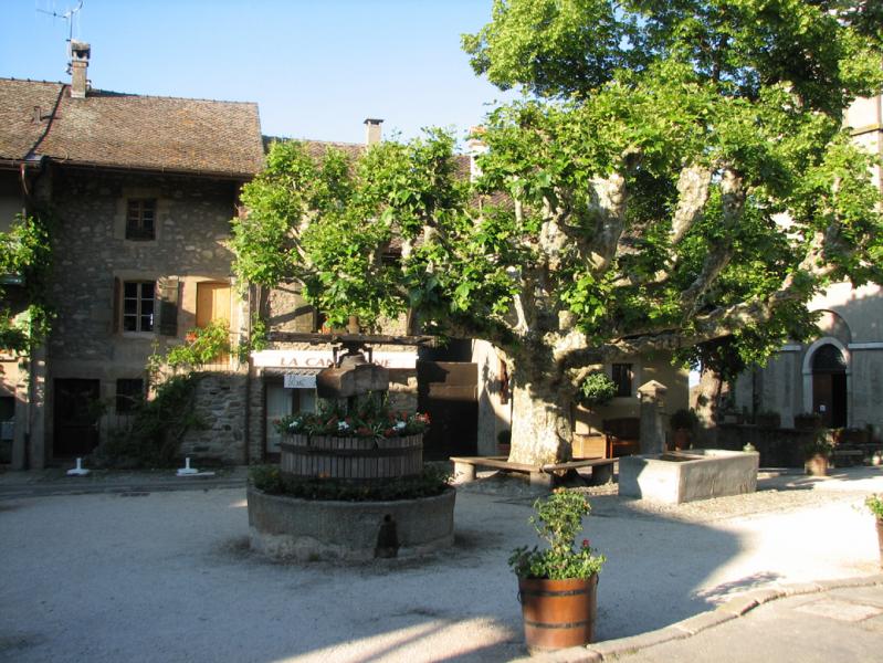 La place du village