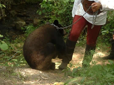 T'as oubli&eacute; tes chaussures !